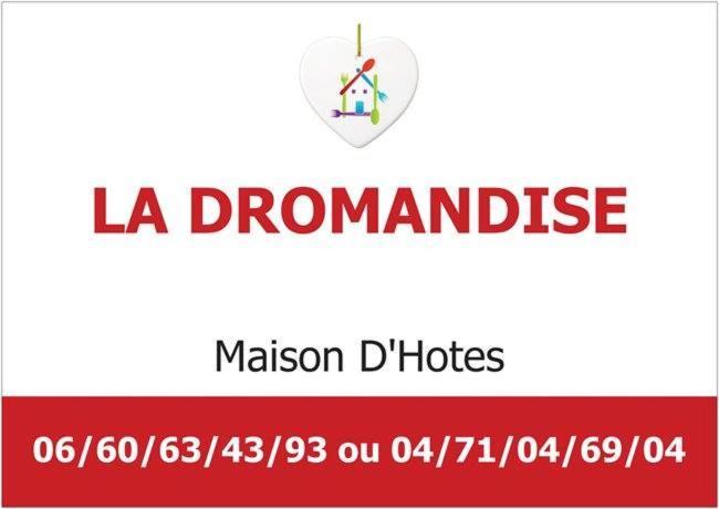 Maison D'Hotes La Dromandise Saint-Arcons-de-Barges Eksteriør billede